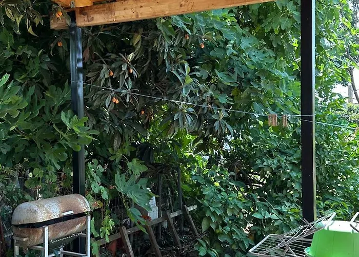 Todos Сasa de vacaciones