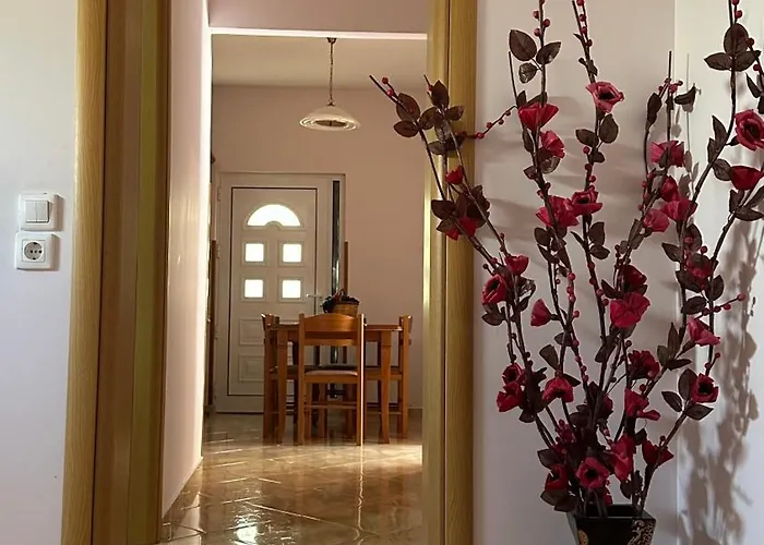 Todos Αμαλιάδα